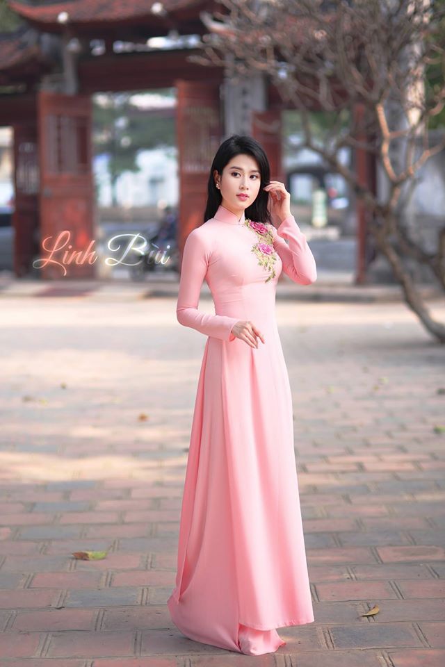 姐姐6电视剧免费观看全集高清